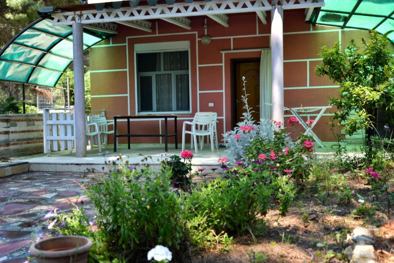 Villas Apartments Shahaj Вльора Екстер'єр фото